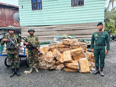 卜迭棉芷省查获逾1吨从泰国非法走私入境的鸡肉