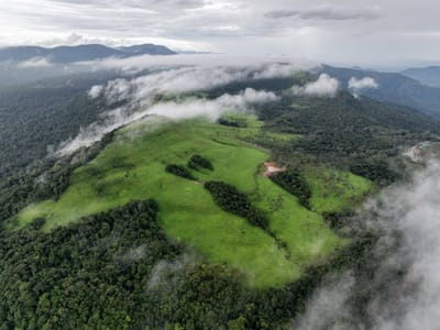 柬埔寨自然旅游区成雨季热门目的地 游客量同比增长6%