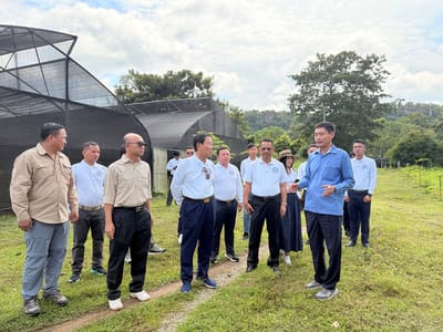 柬埔寨水泥工业协会向暹粒省环保局赠送逾万棵树苗