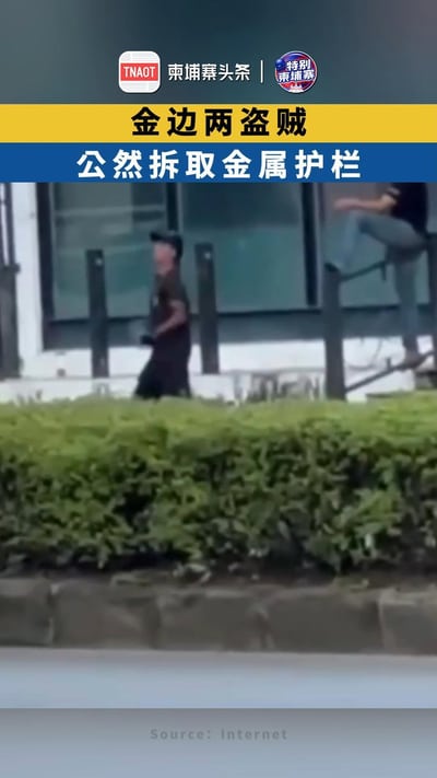 金边两盗贼 公然拆取金属护栏