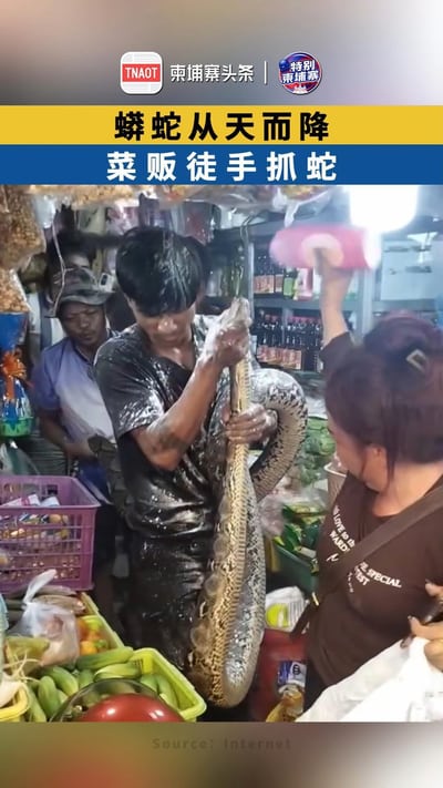 蟒蛇从天而降 菜贩徒手抓蛇