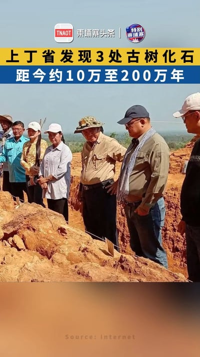 上丁省发现3处古树化石 距今约10万至200万年