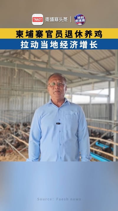 柬埔寨官员退休养鸡 拉动当地经济增长
