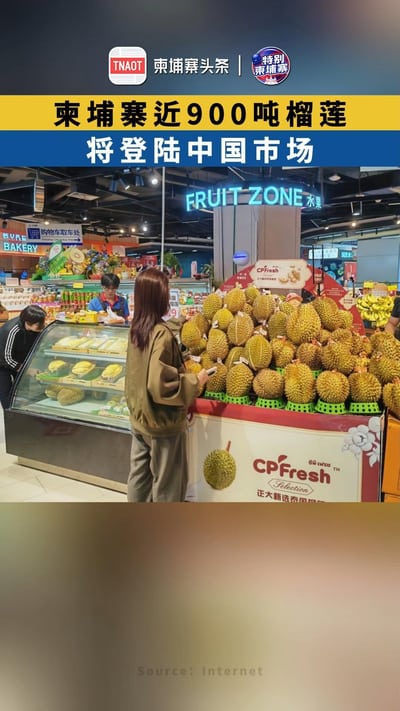 柬埔寨近900吨榴莲，将登陆中国市场！