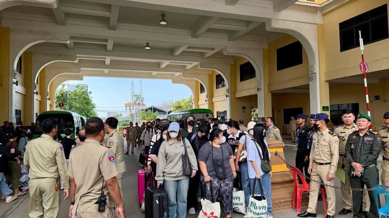 柬埔寨驱逐79名涉网络诈骗泰国公民