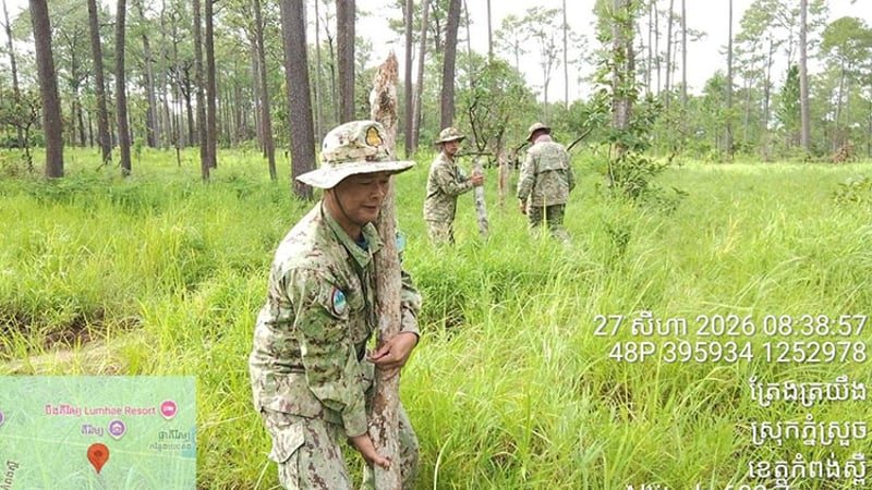 柬埔寨磅士卑省当局打击两起非法侵占林地案件