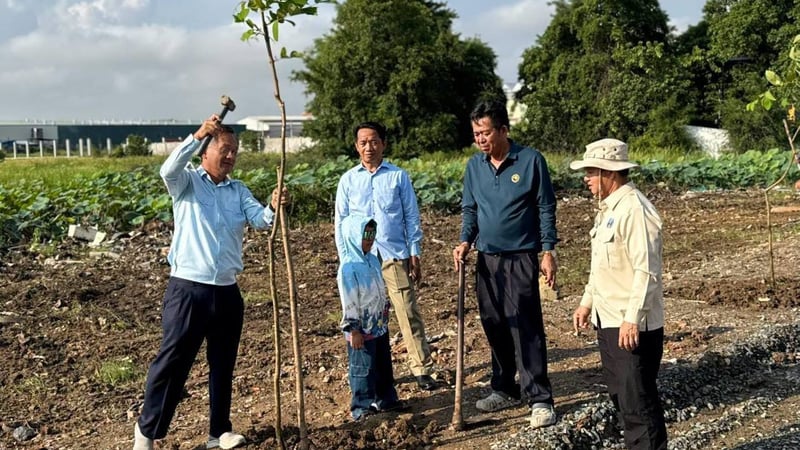 金边森速区在中学周边开展植树活动