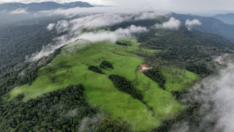 柬埔寨自然旅游区成雨季热门目的地 游客量同比增长6%