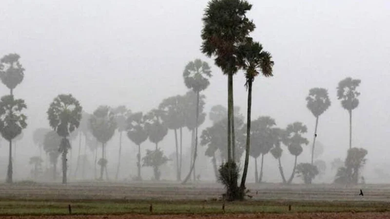 今年雨季5月初提前来临！ 