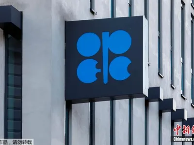 欧佩克“大群”，阿联酋为何想退就退？